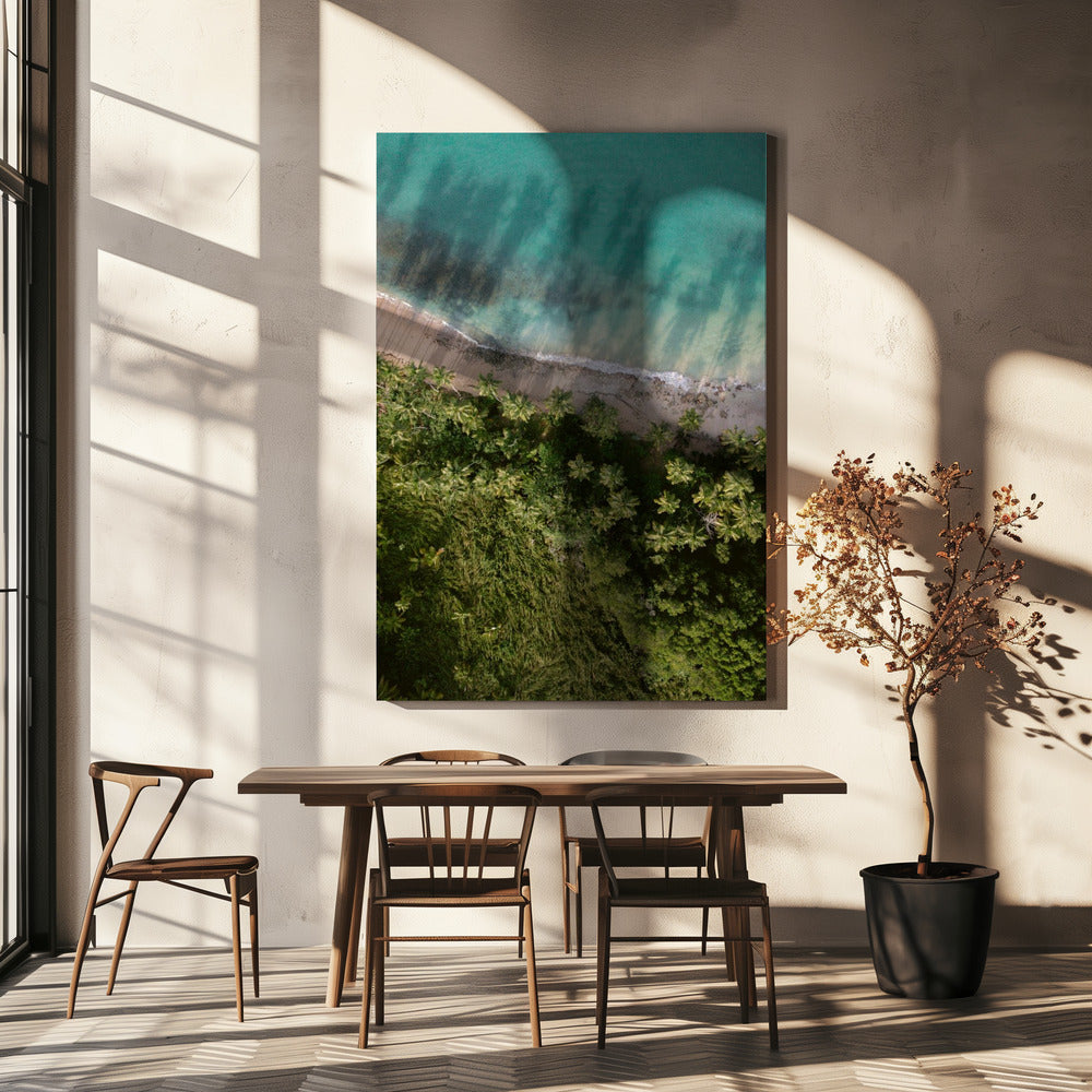 Palm Beach from Above | Canvas