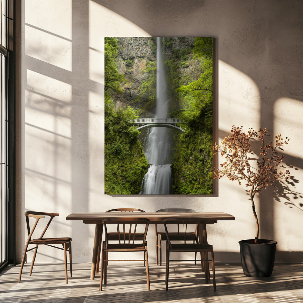 Soft Tail | Canvas