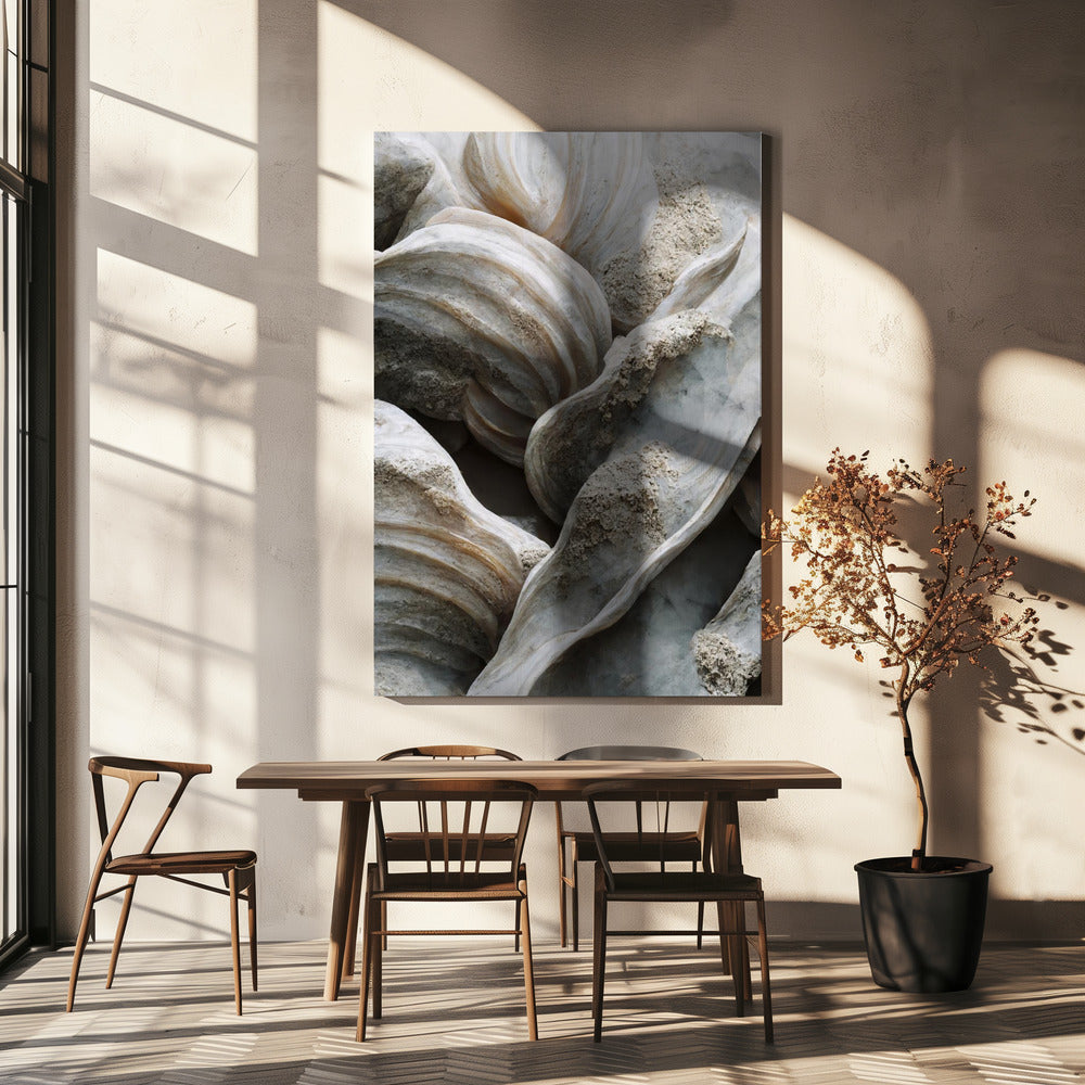 Shell Symphony | Canvas