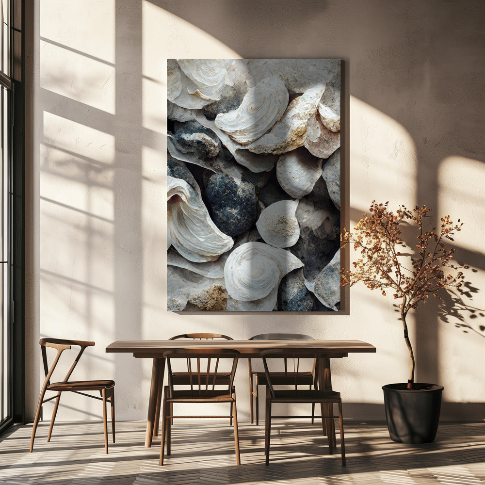 Shells and Stone | Canvas