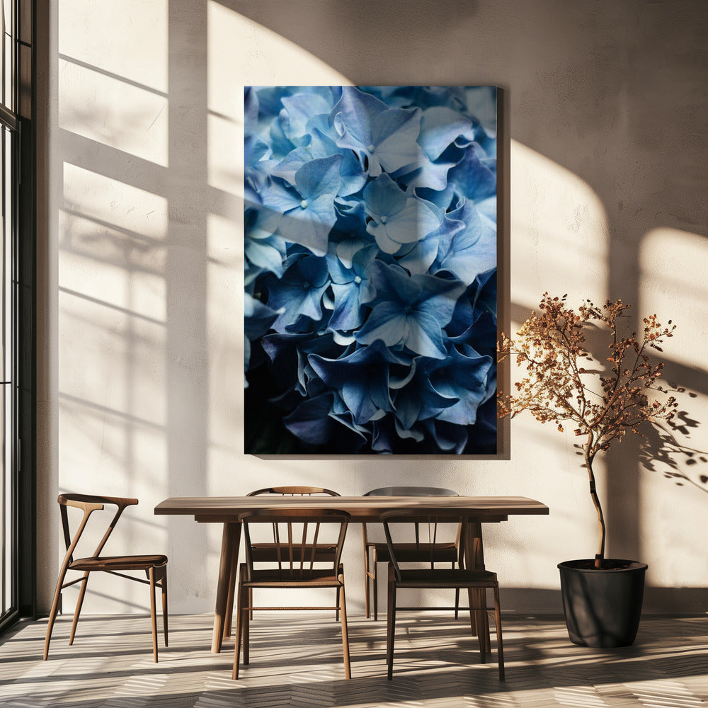 Vibrant Blue Hydrangeas | Canvas