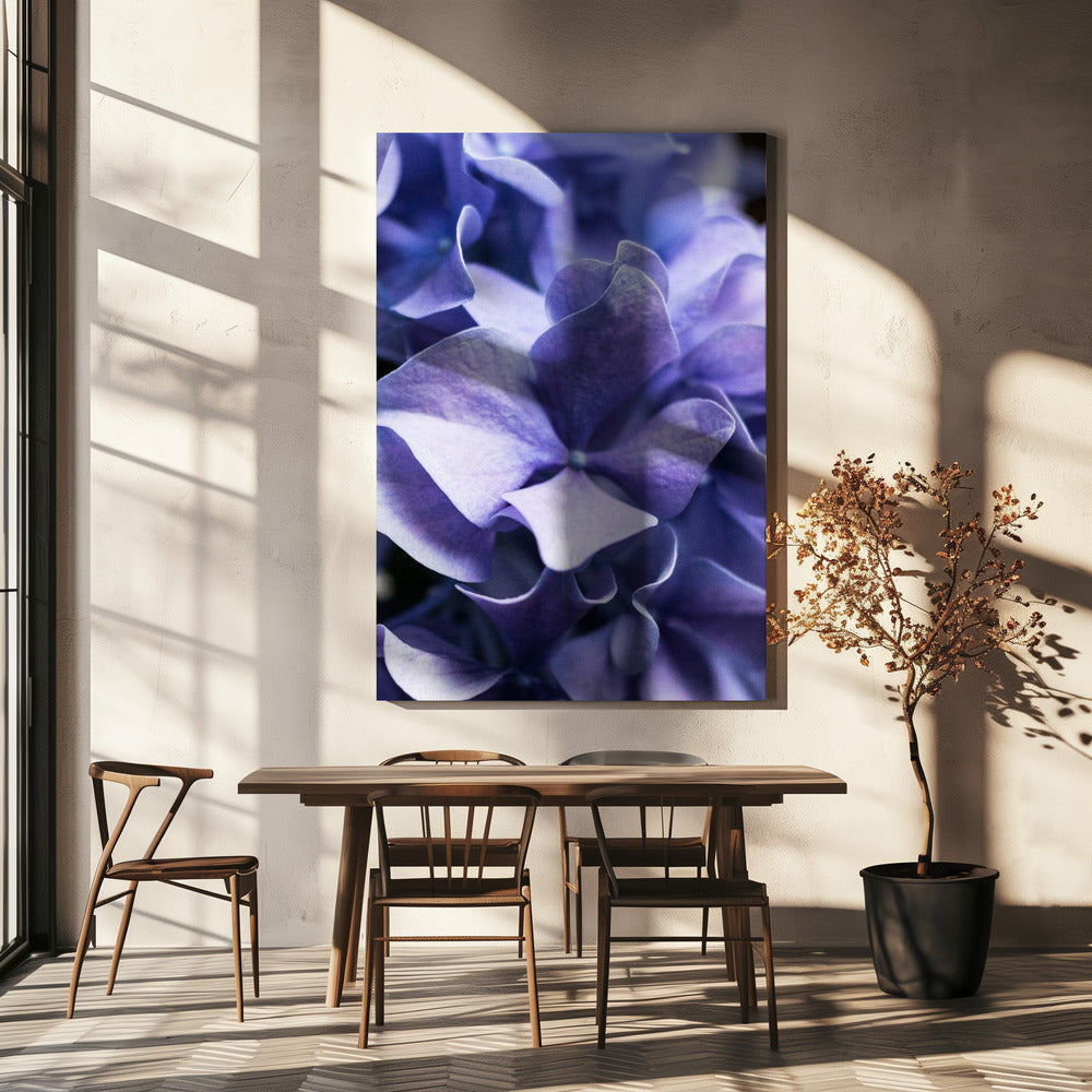 Delicate Purple Hydrangea Petals | Canvas