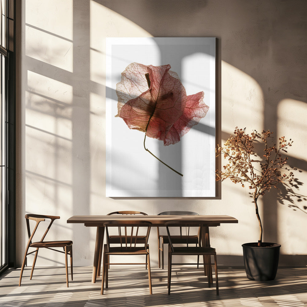 Delicate Petal Veins | Canvas