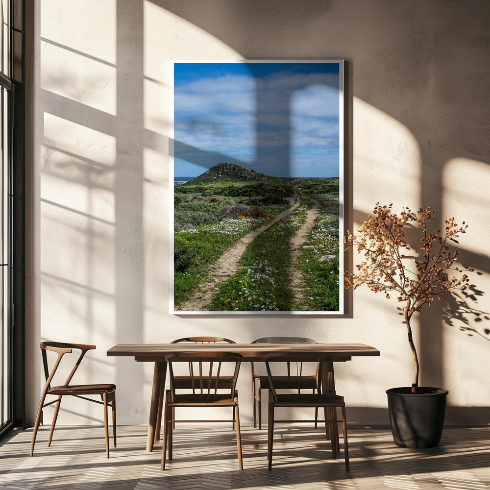 Pathway to Serenity | Canvas