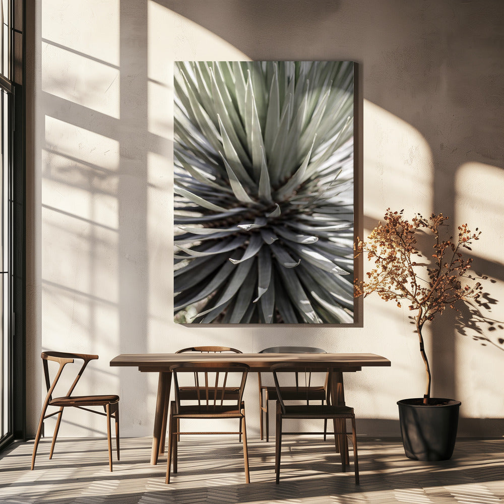 Spiky Serenity | Canvas