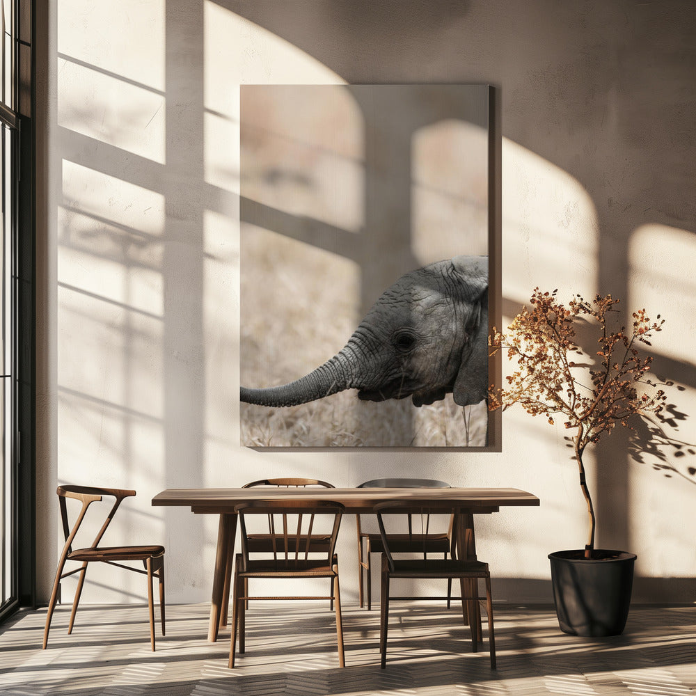 Gentle Giant's Gaze | Canvas