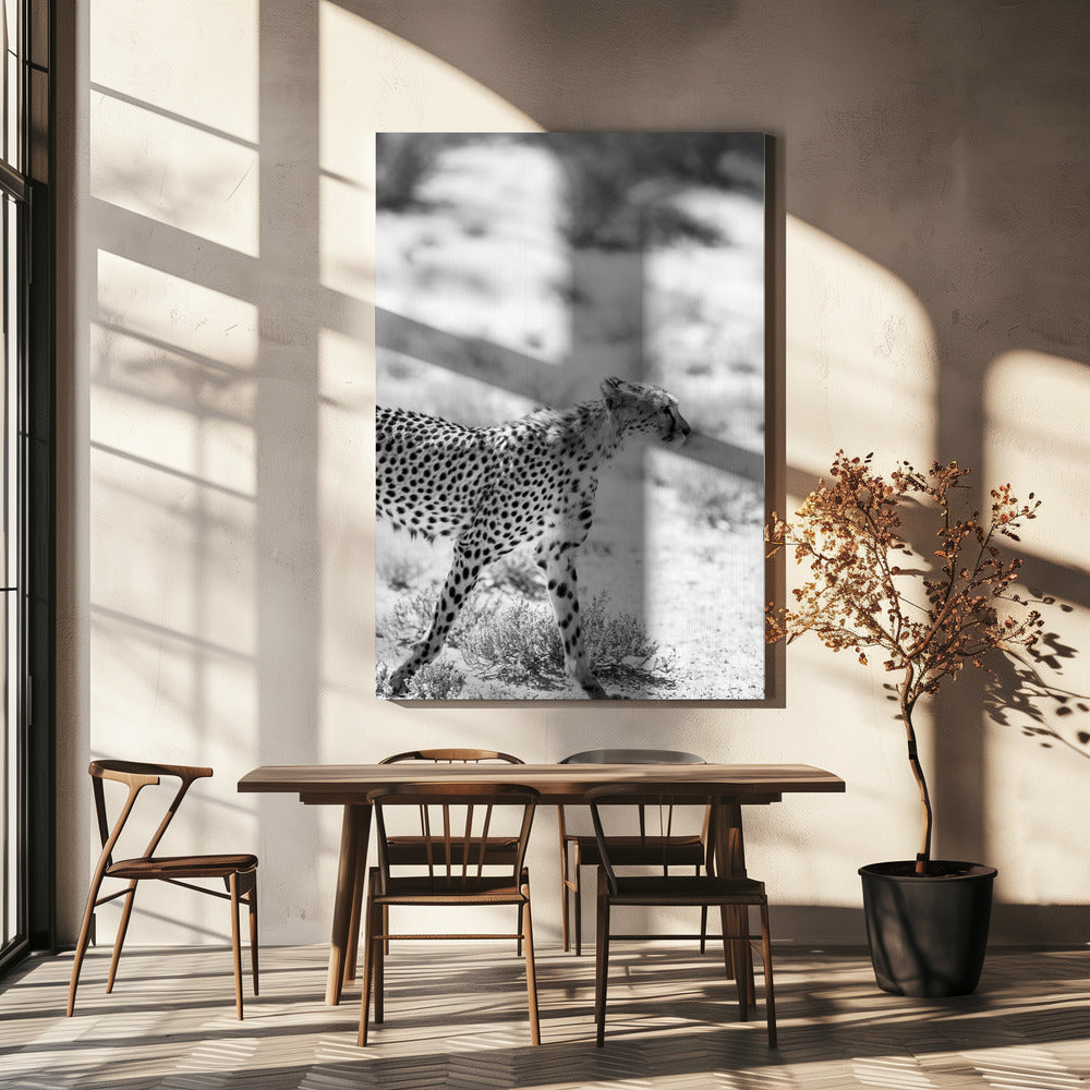 Cheetah's Grace | Canvas