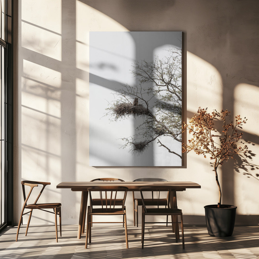 Owl's Perch | Canvas