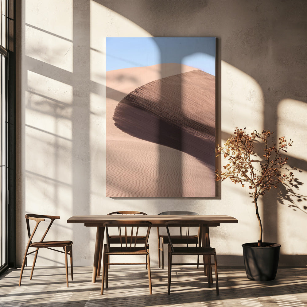 Desert's Graceful Curve | Canvas