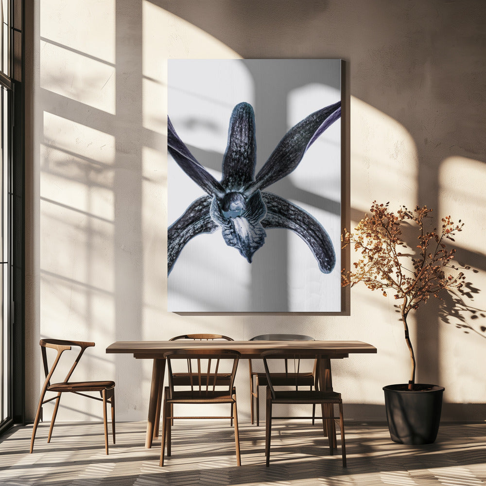 Midnight Blossom | Canvas