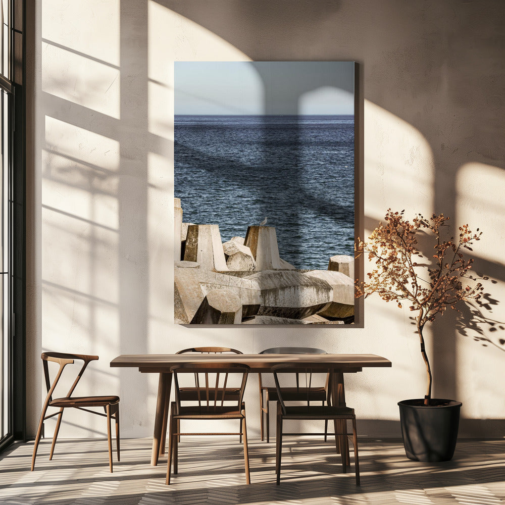 Seagull by the Sea | Canvas