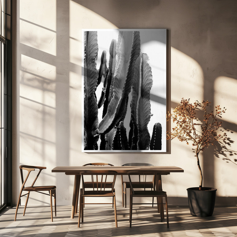 Cactus Elegance | Canvas