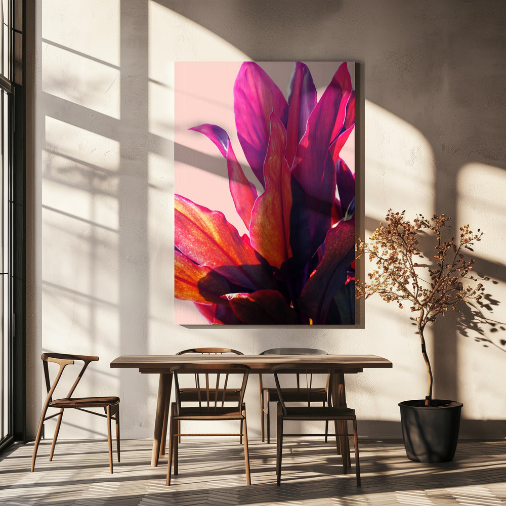 Fuchsia Leaves II | Canvas