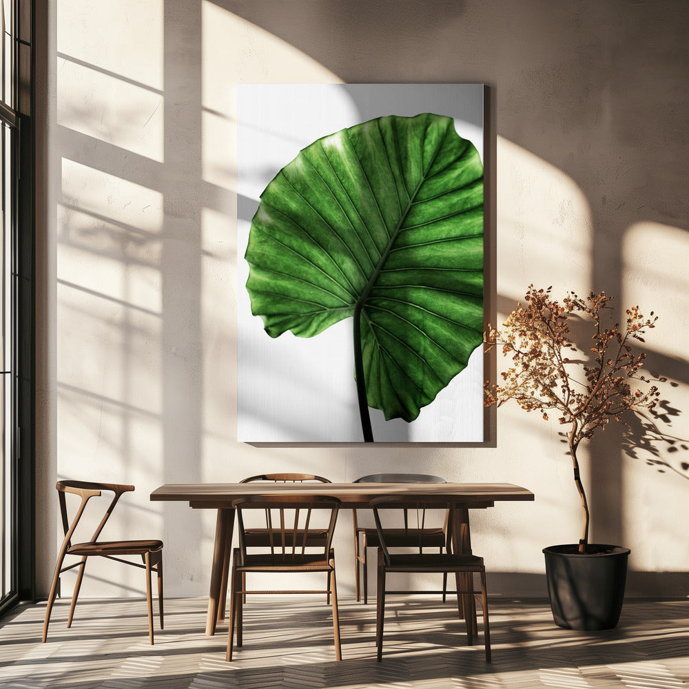 Leaves 11 | Canvas