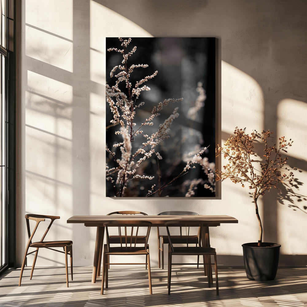 Unknown 9 | Canvas