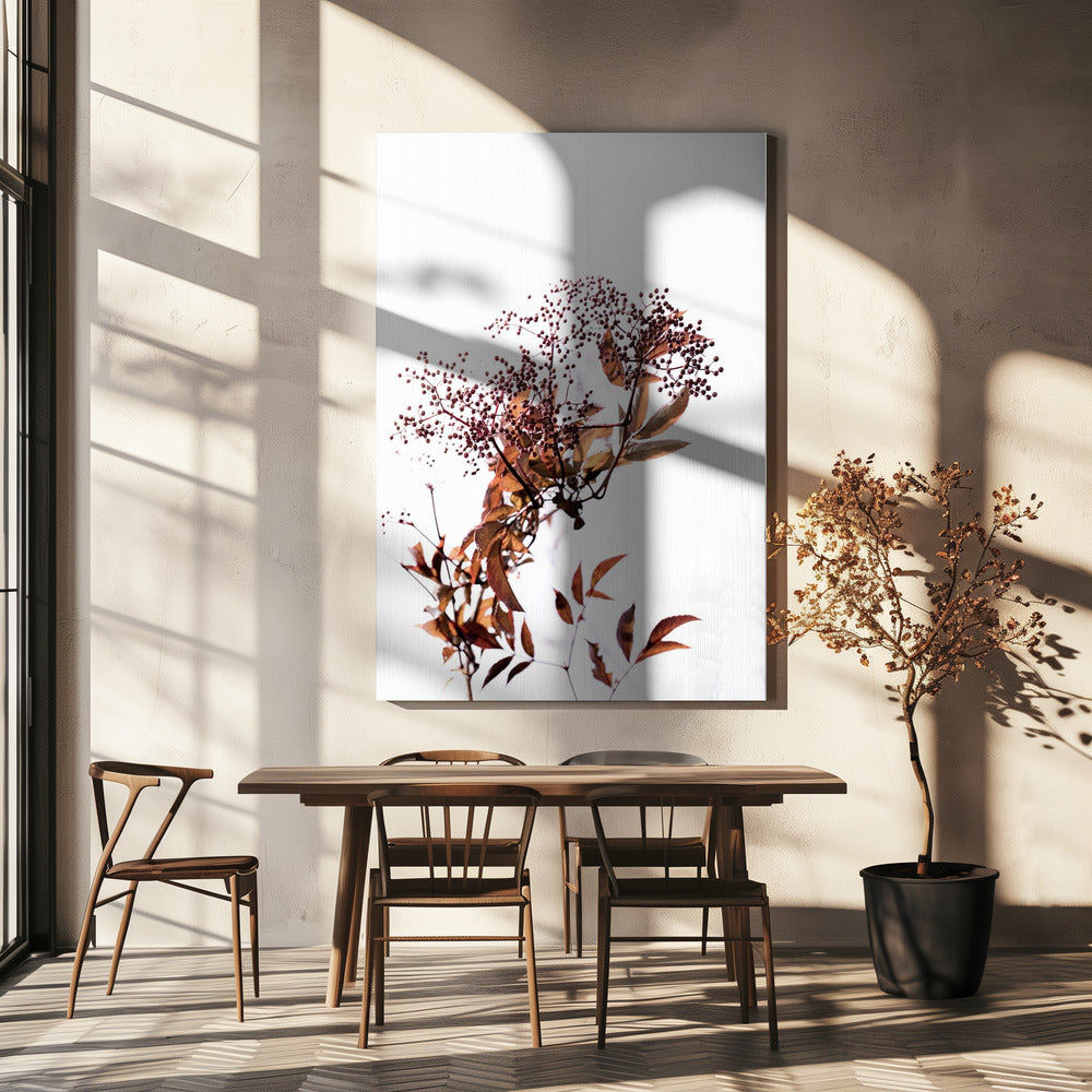 Unknown 14 | Canvas