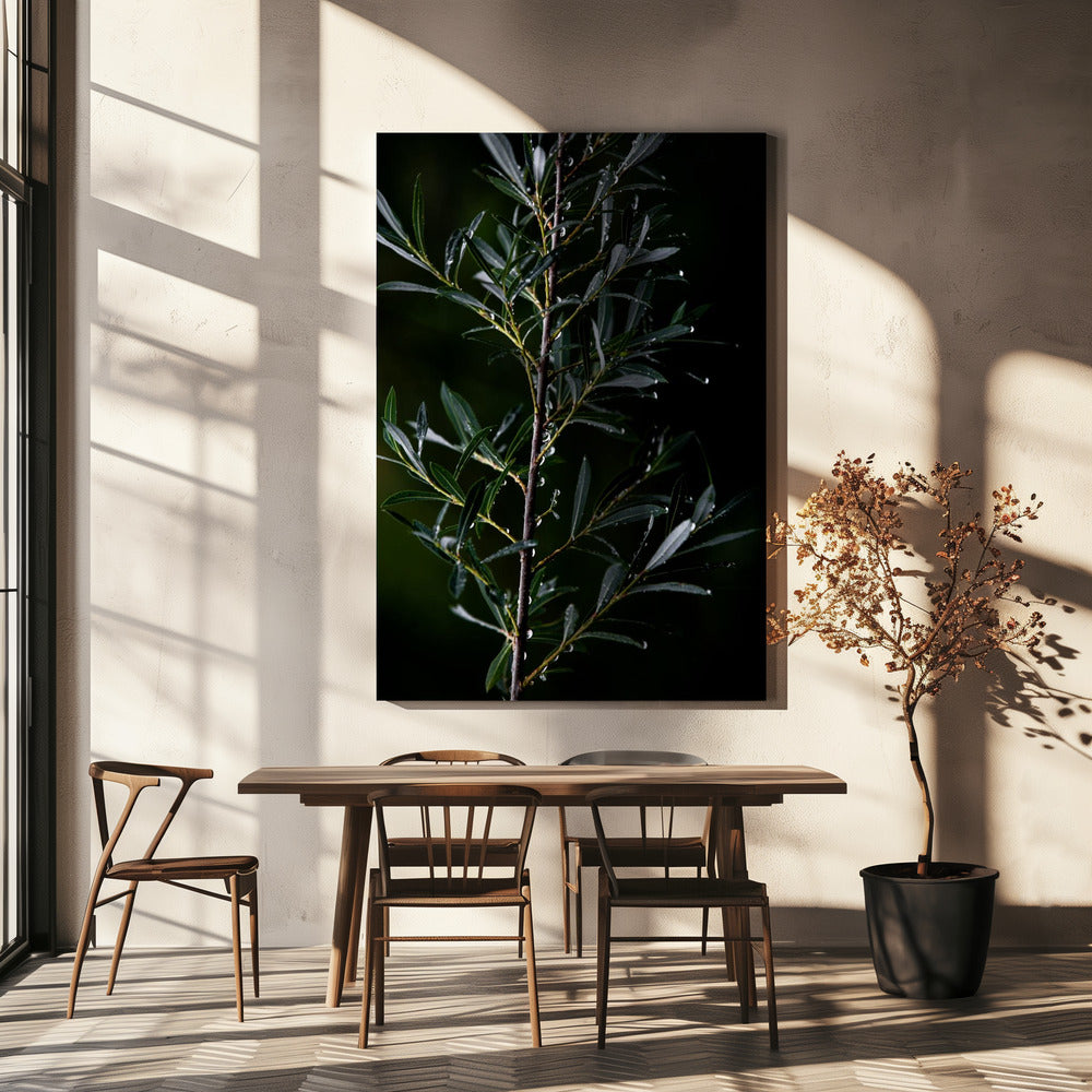 Winter Branches 6 | Canvas