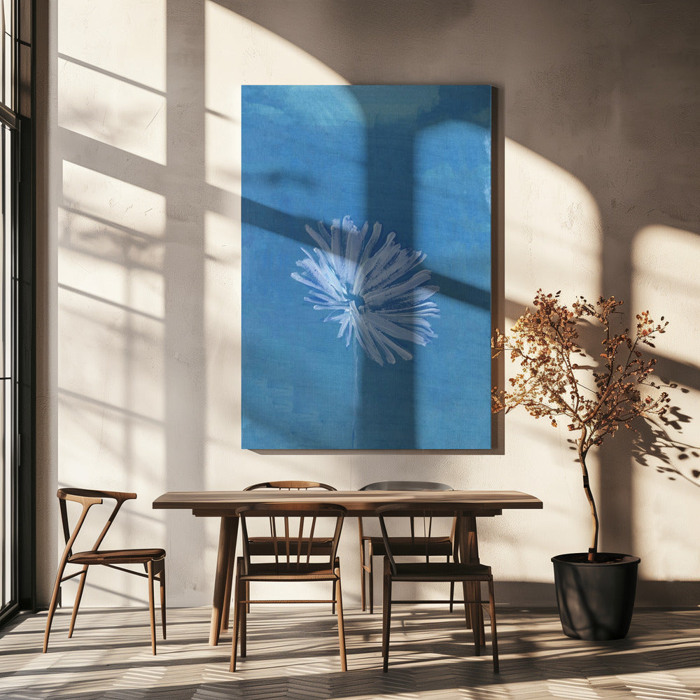 White Flower On Blue Background | Canvas