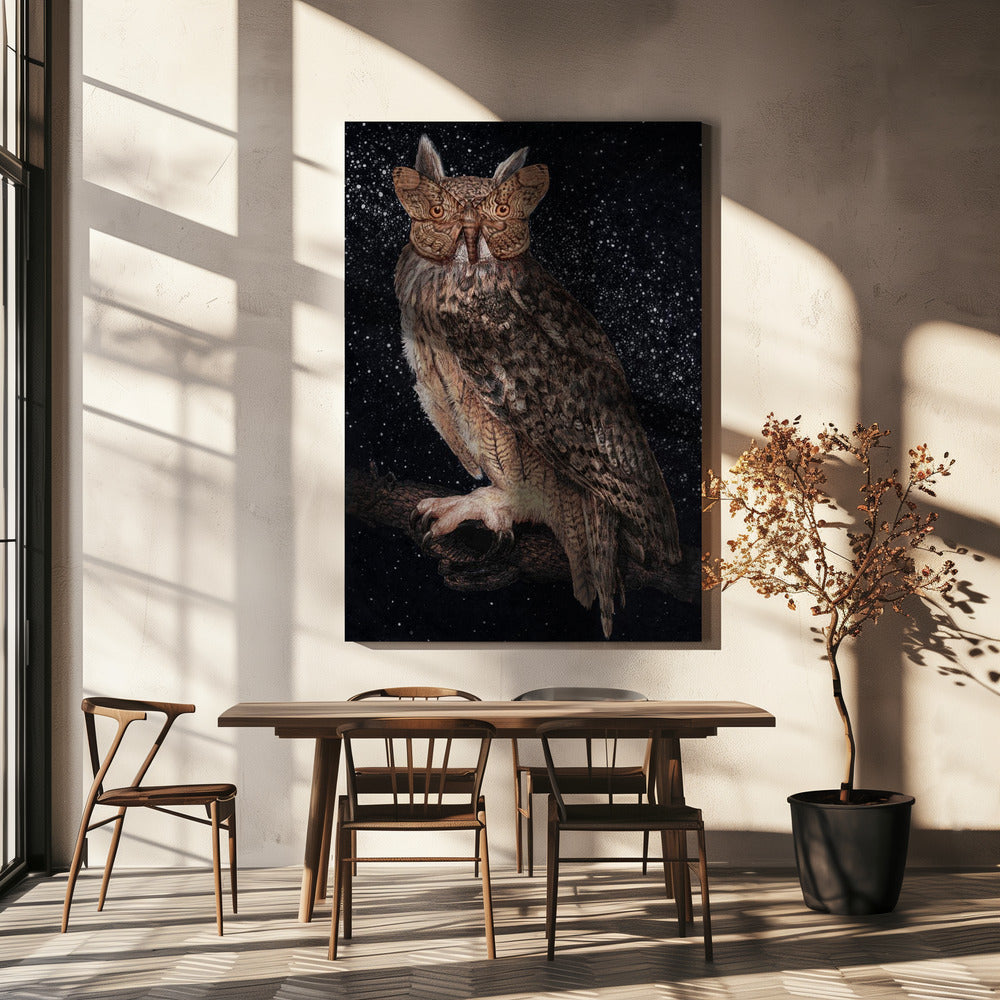 Camouflage and Stars Colour | Canvas