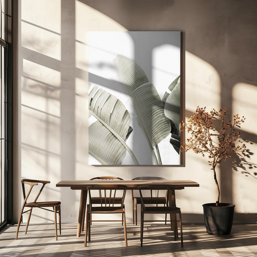 Banana leaf 1 | Canvas