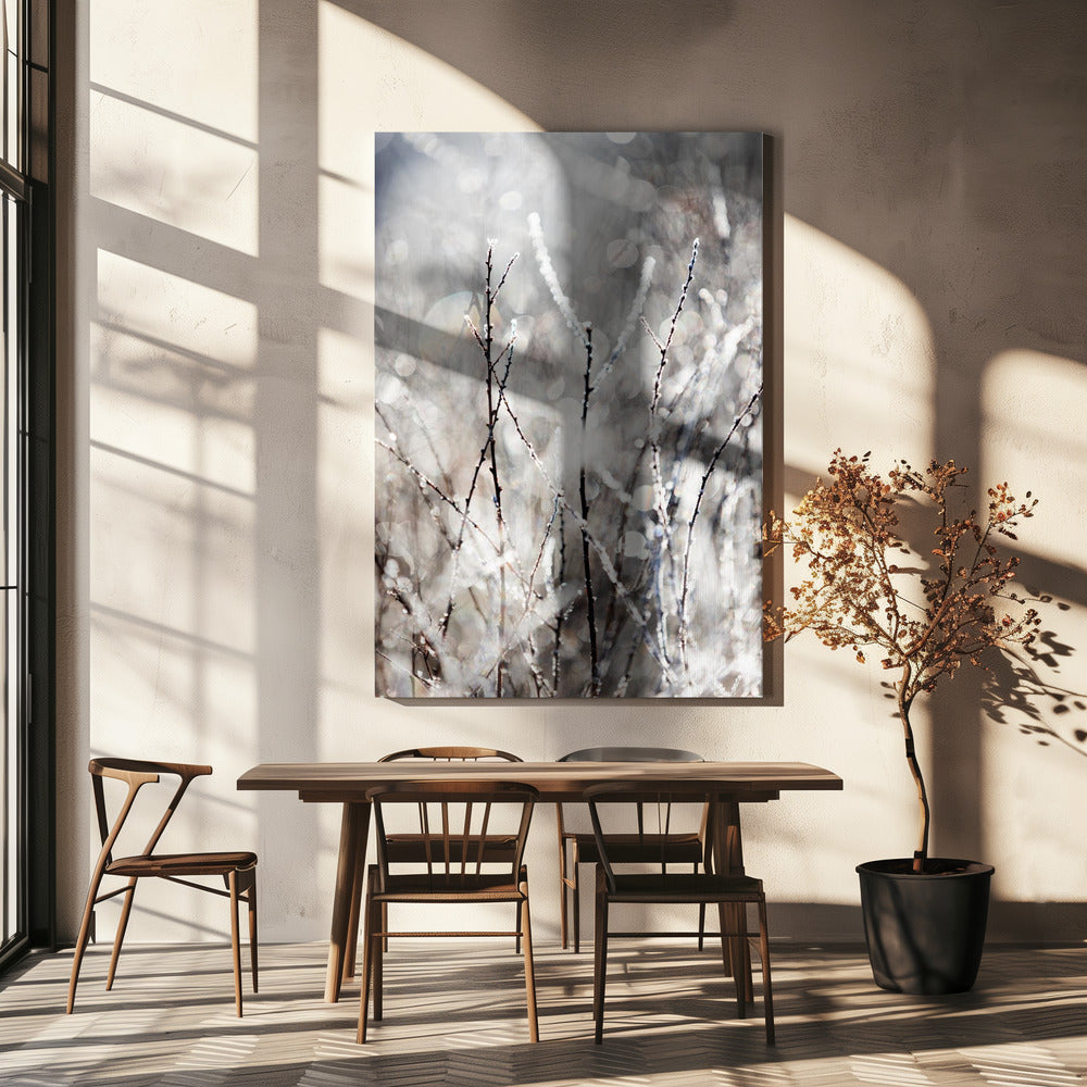 A Winter Morning 4 | Canvas