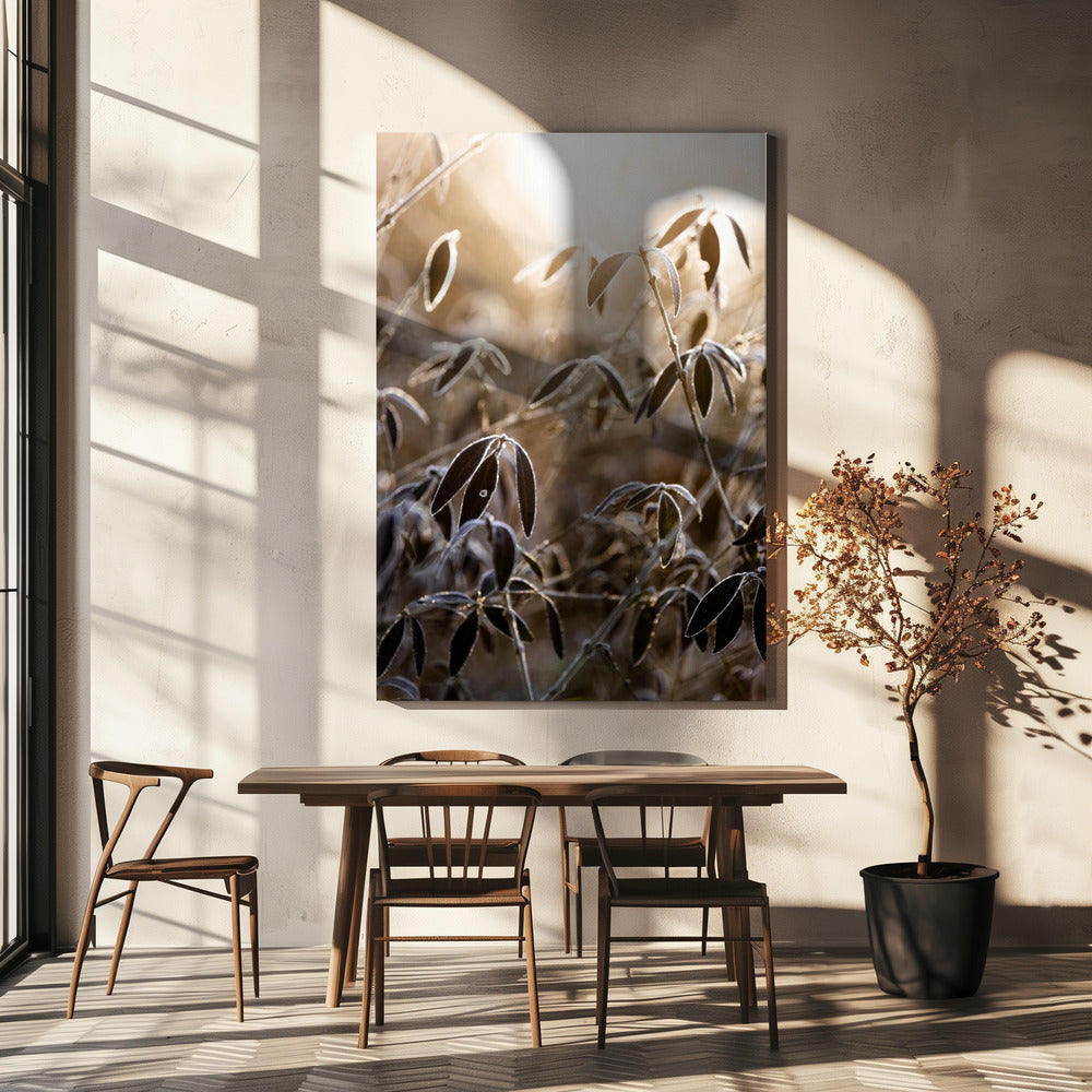 A Winter Morning 6 | Canvas