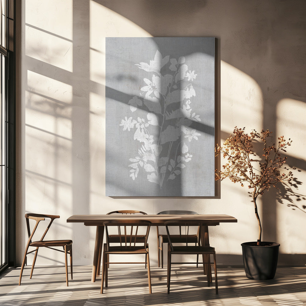Botanical Illustration 2 | Canvas