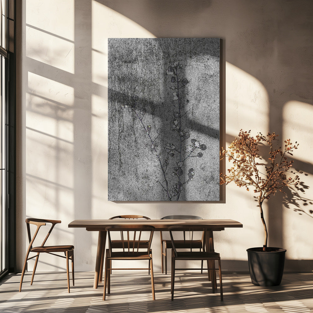 Delicate Decay | Canvas