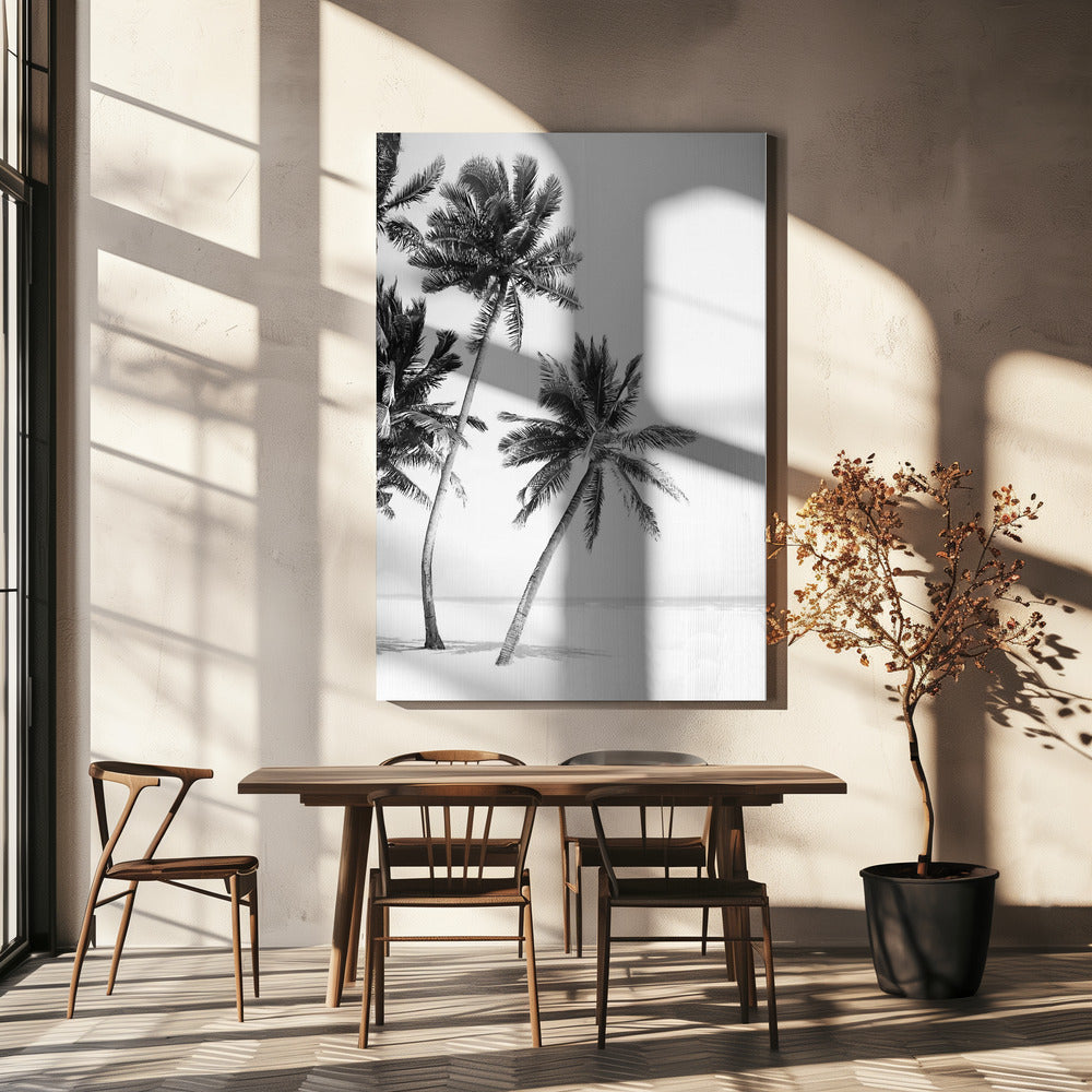 Island | Canvas