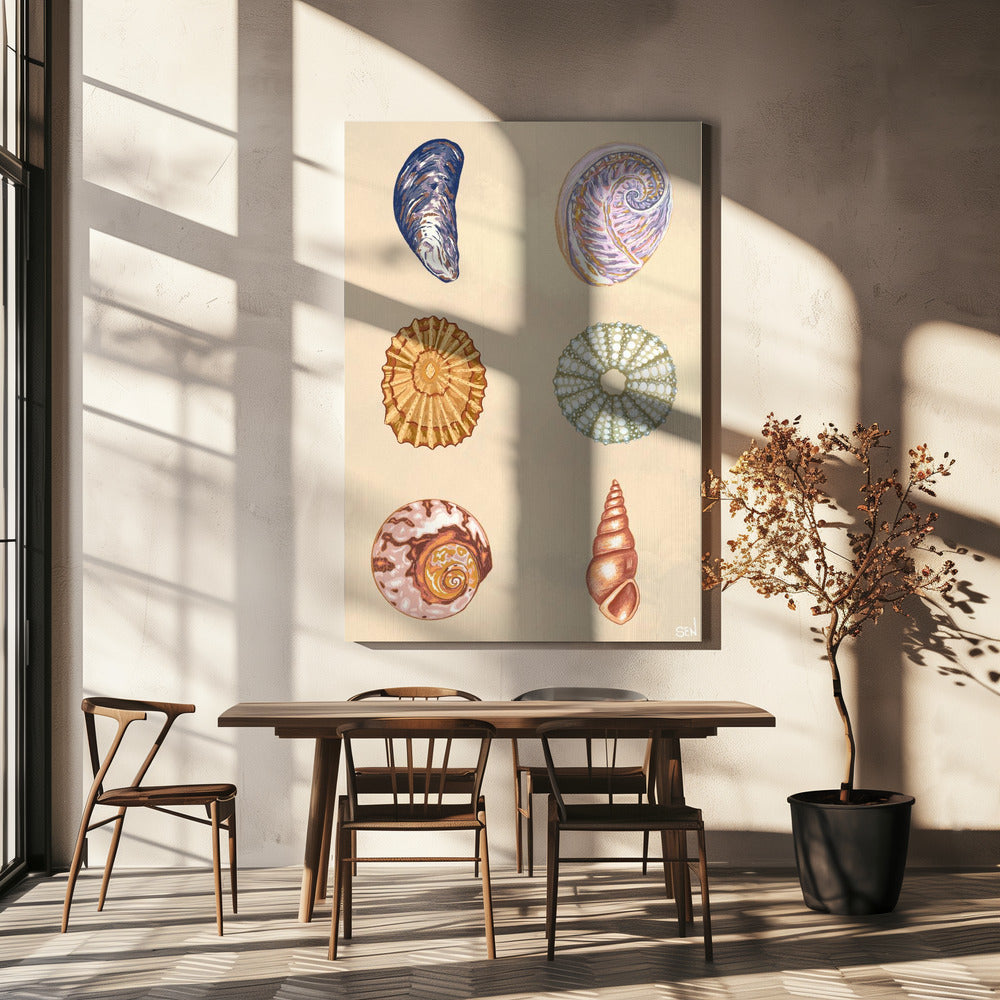 Treasures of the Tide | Canvas