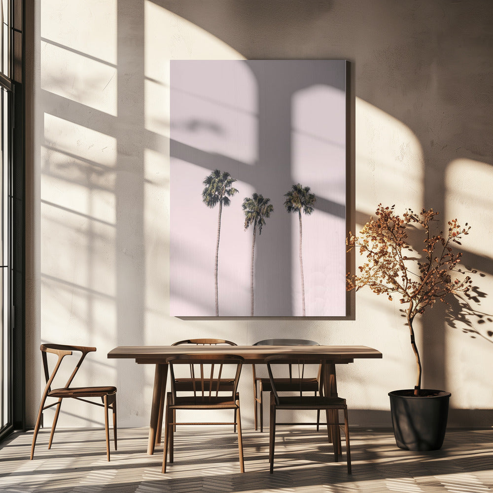 Palms On Pink | Canvas