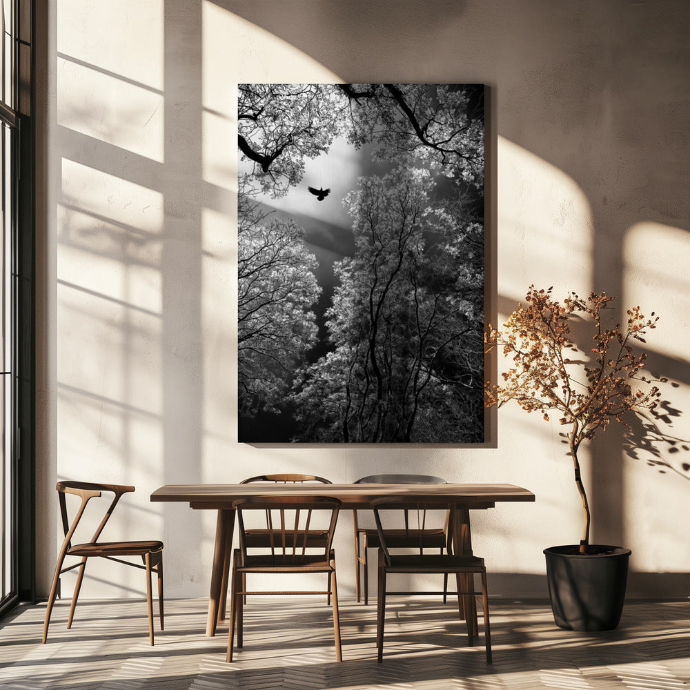 Flight | Canvas