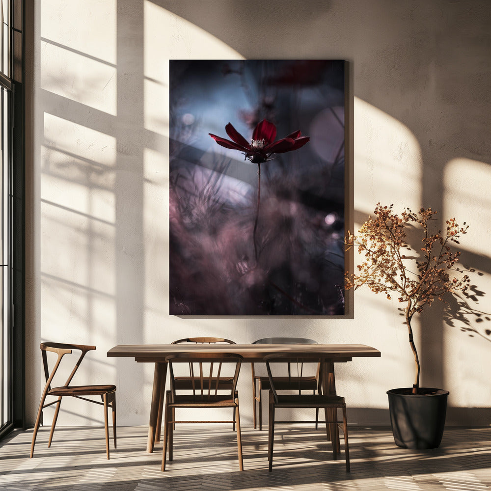 Tenue de soirée | Canvas