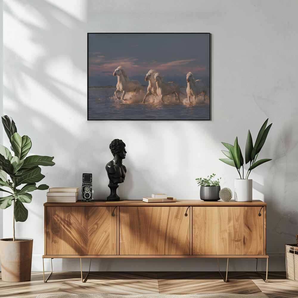 Angels of Camargue | Poster