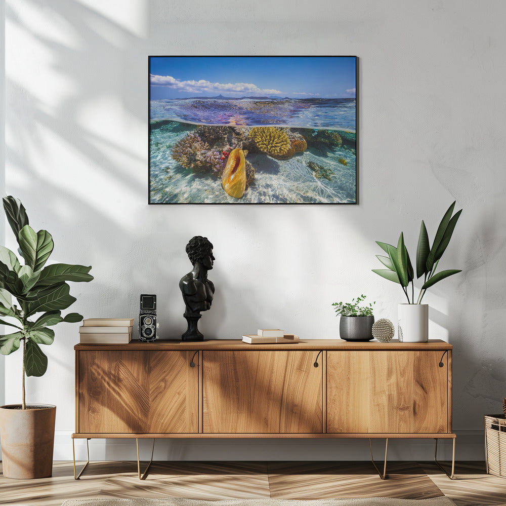 Lagoon life | Poster