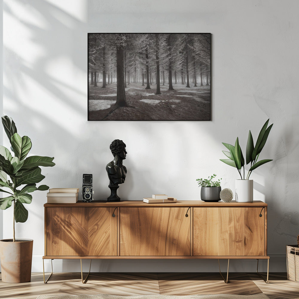 The onset of winter | Poster