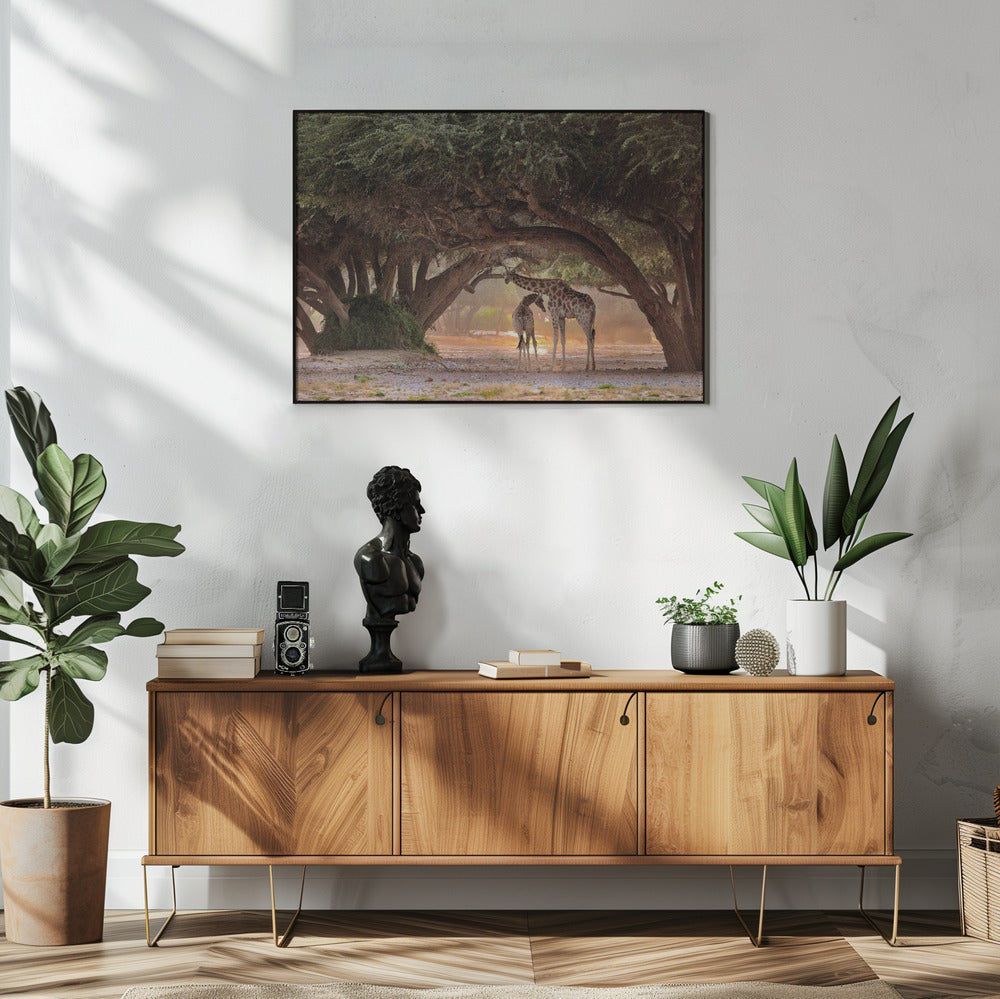 Giraffe - Namibia | Poster