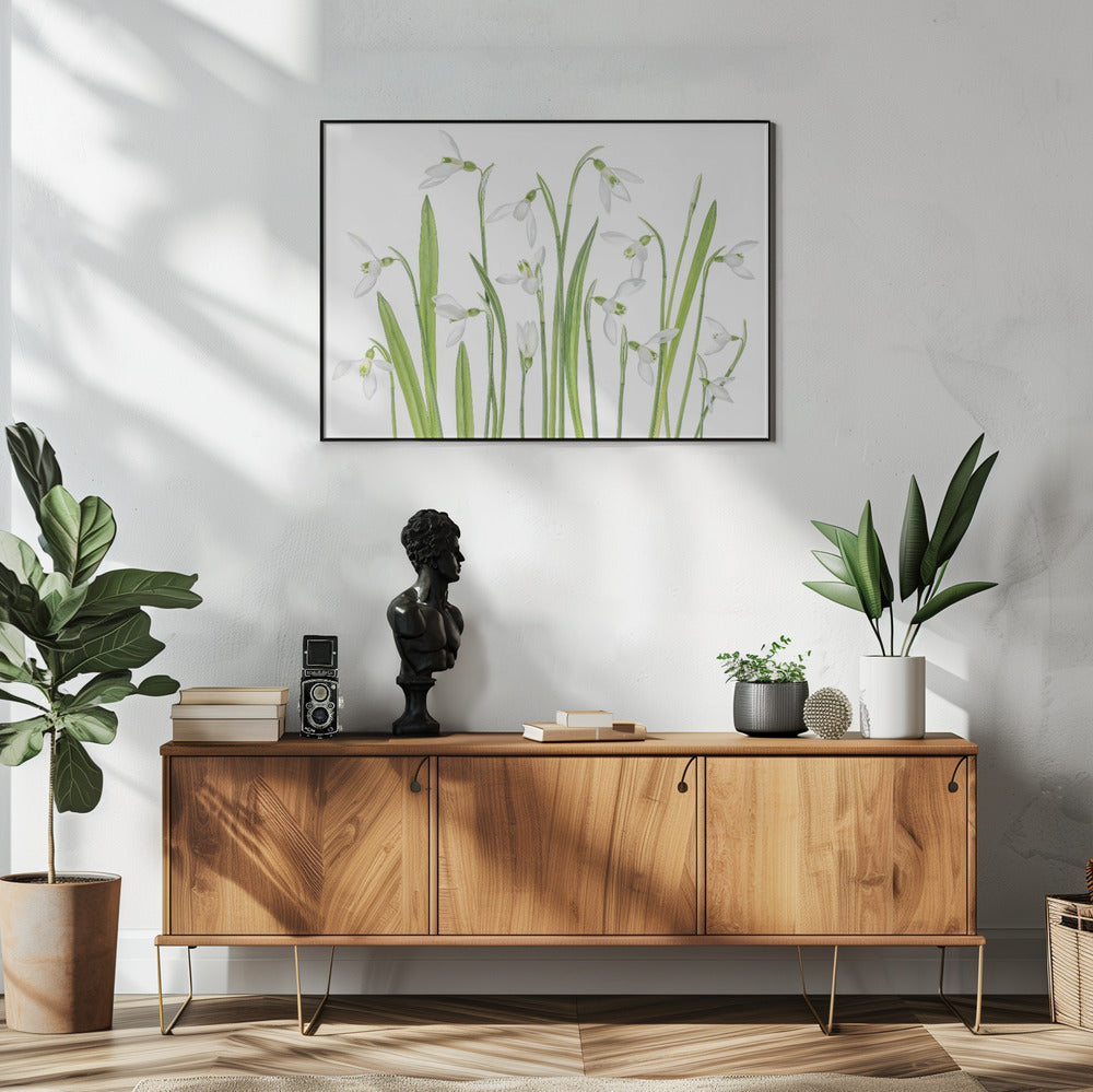 First Snowdrops | Poster