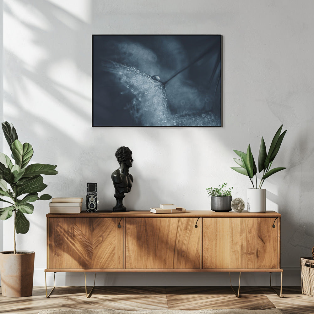 Blue dandelions | Poster