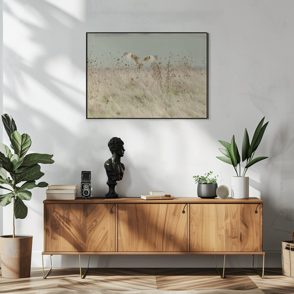 Hunting Short Eared Owl | Poster