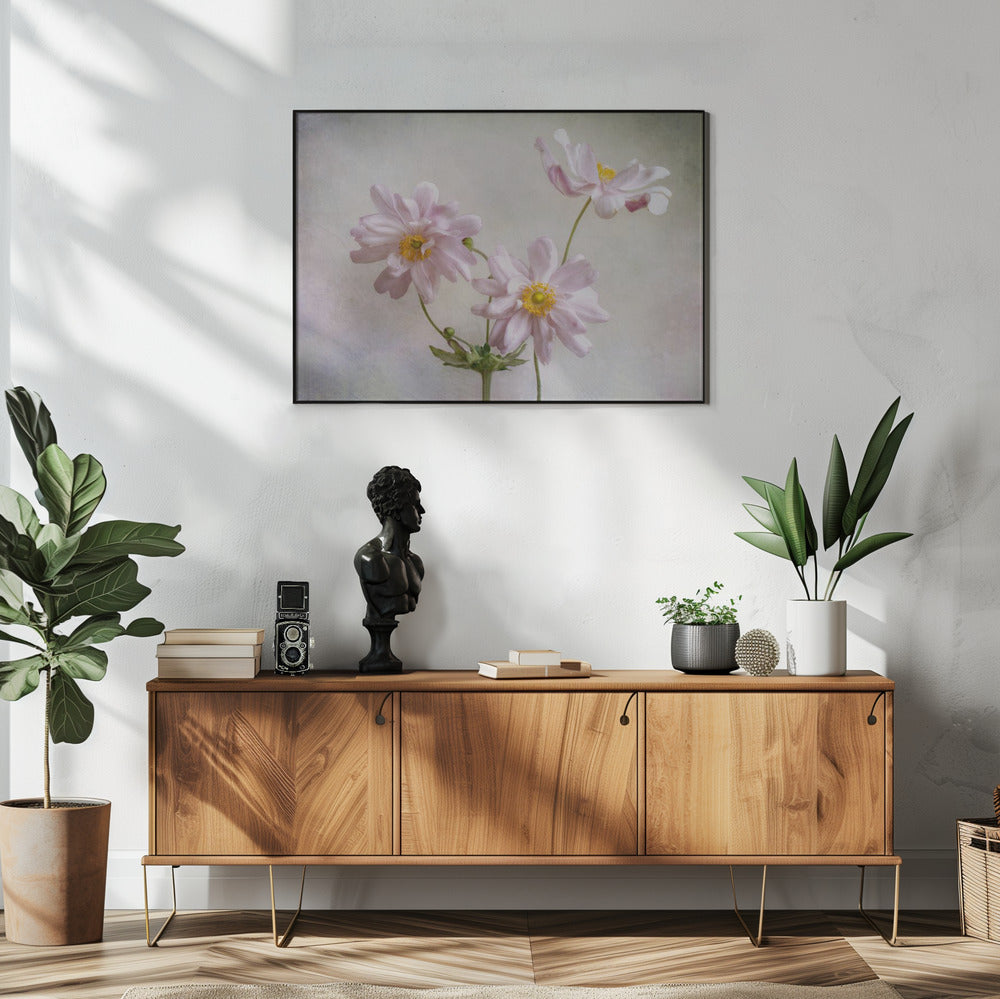 Anemones | Poster