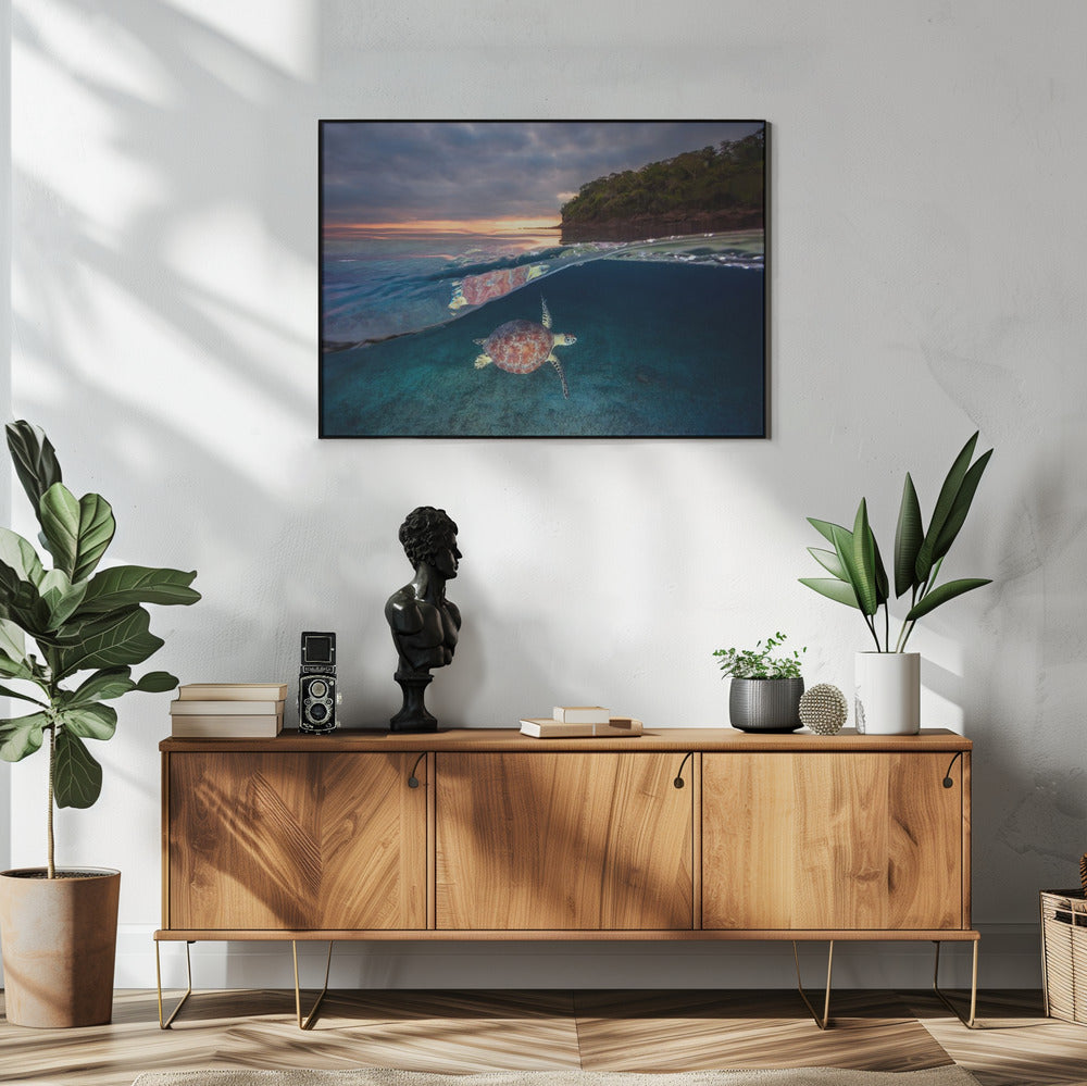 Green turtle with sunset | Poster