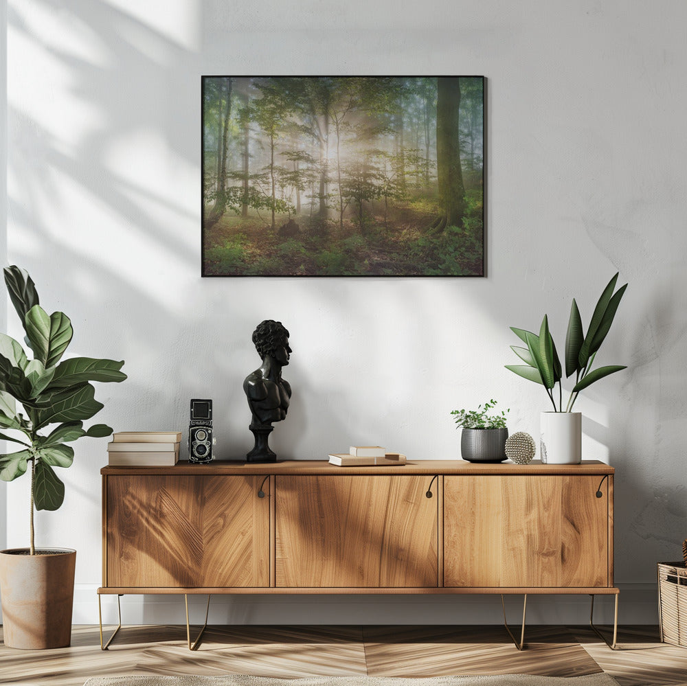 morning sun | Poster