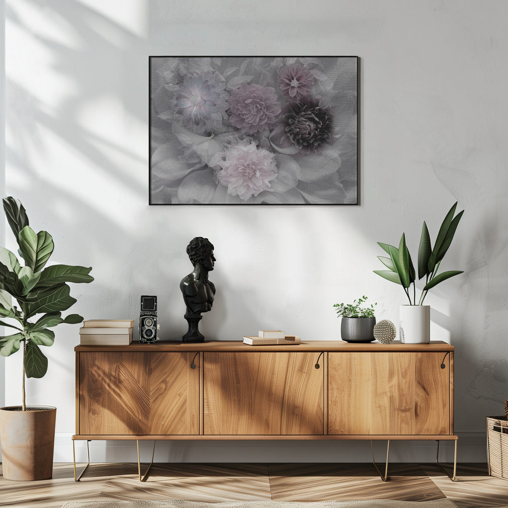 Dahlia dream | Poster