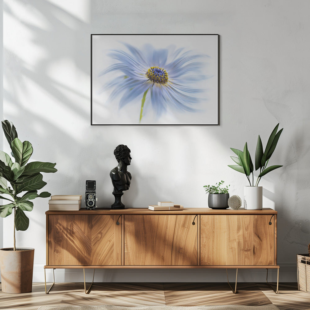 Daisy delight | Poster