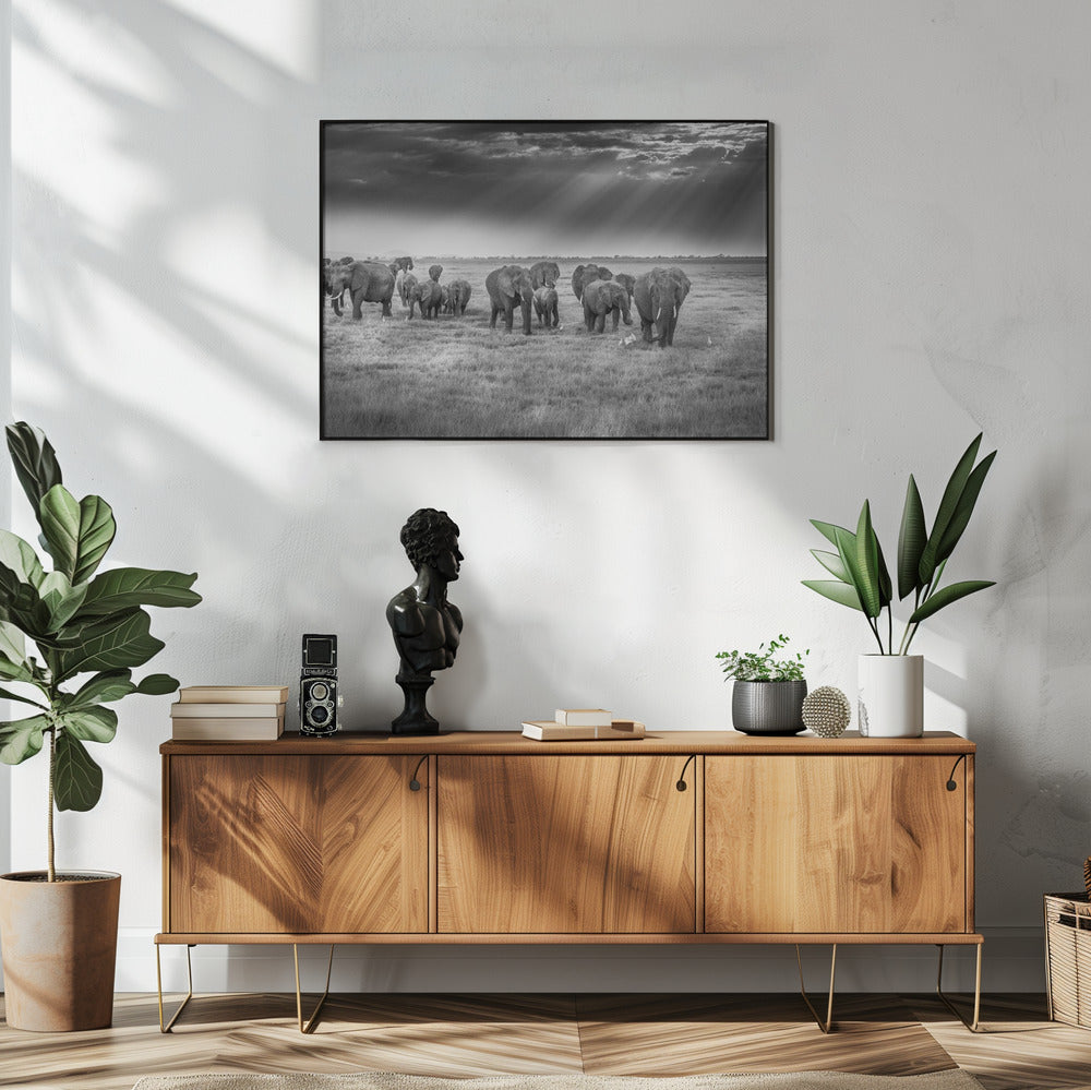 Breakfast with pachyderms | Poster