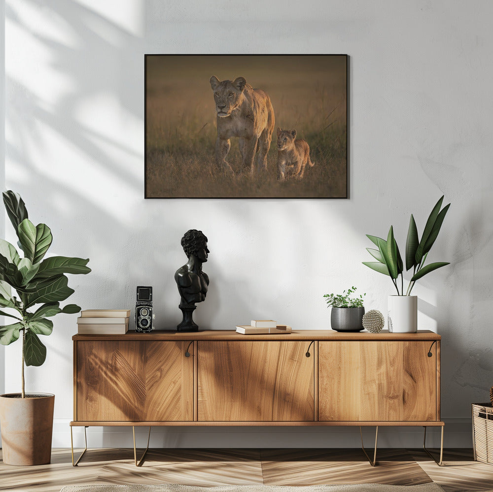 Mom lioness with cub | Poster