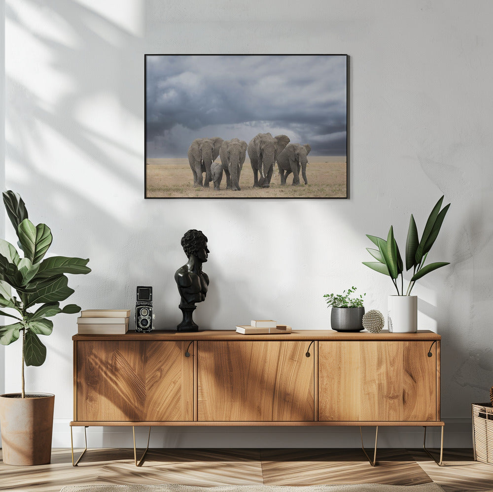 Elephant Walk | Poster