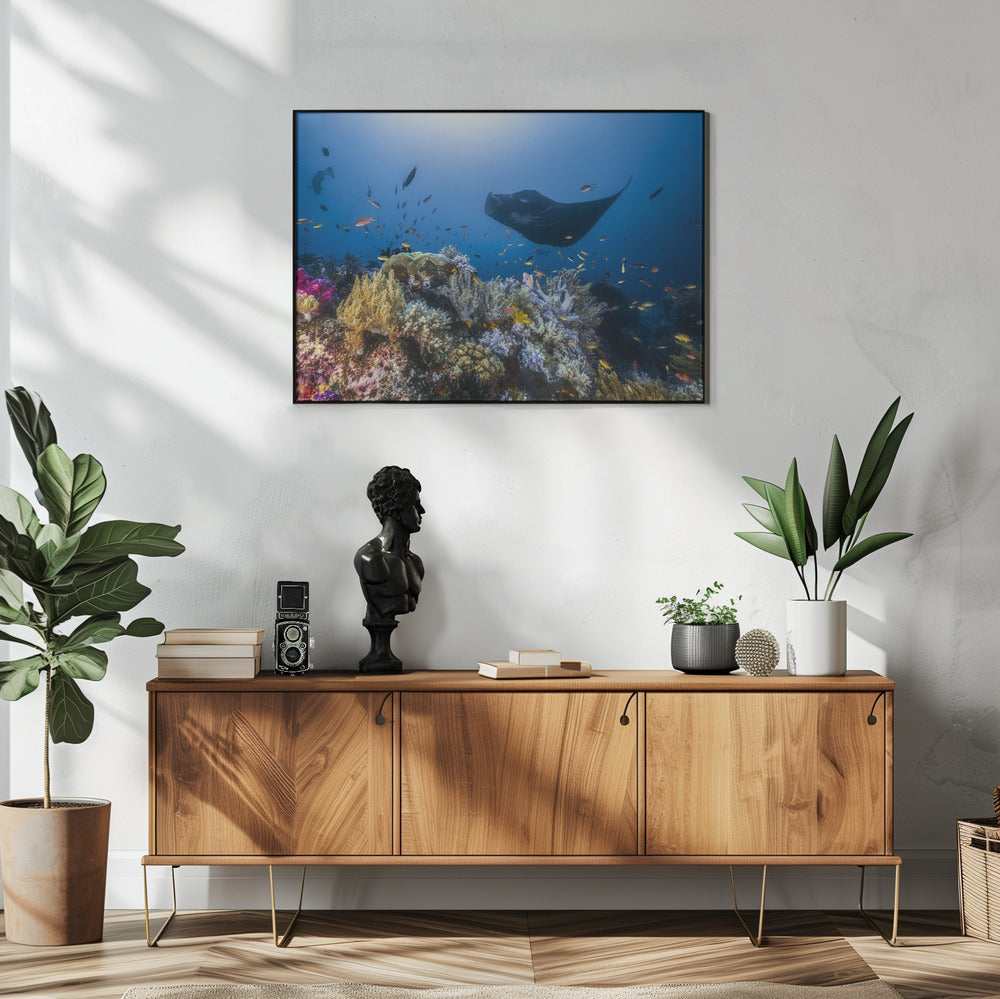 Manta reef on the reef | Poster