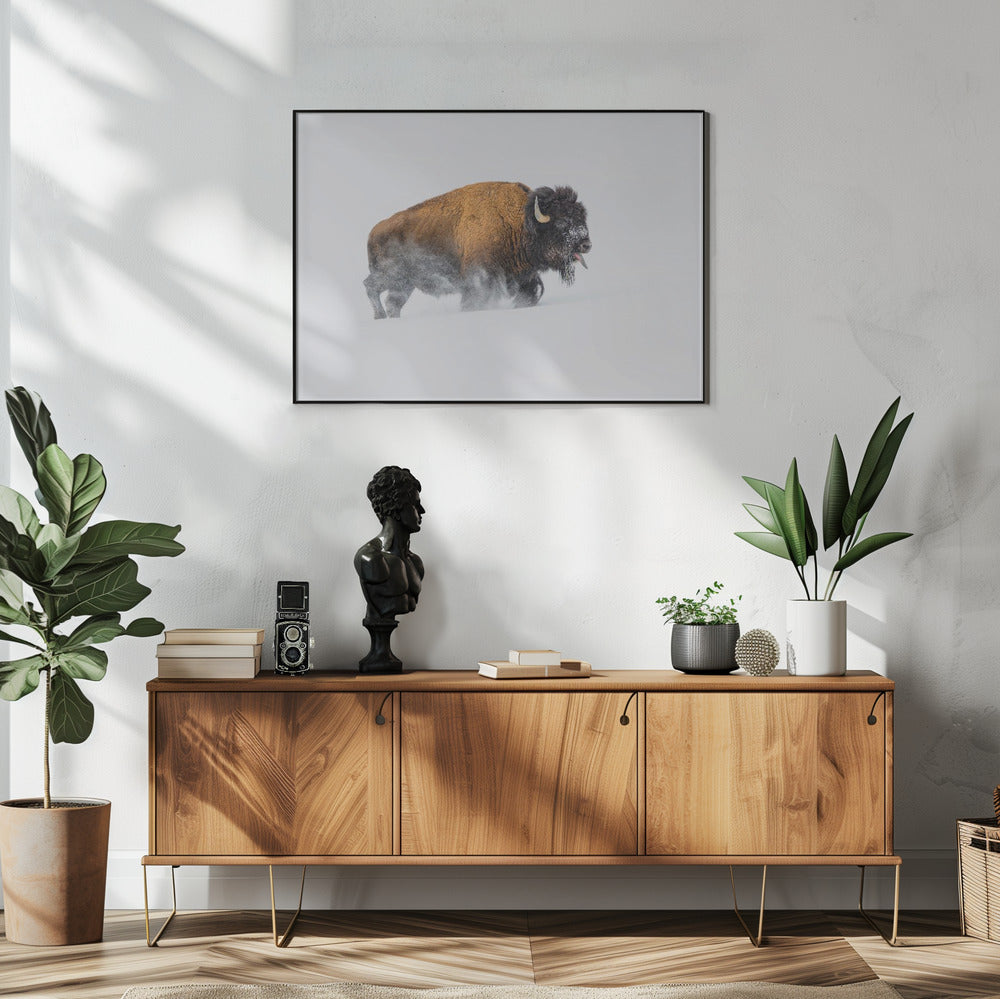 Bison in the Snow | Poster